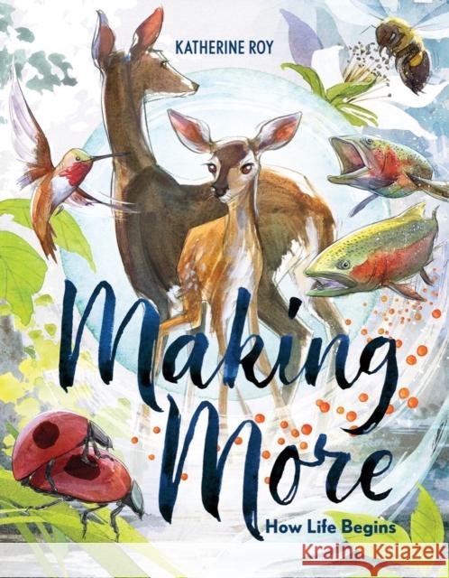 Making More: How Life Begins Katherine Roy 9781324015840 WW Norton & Co