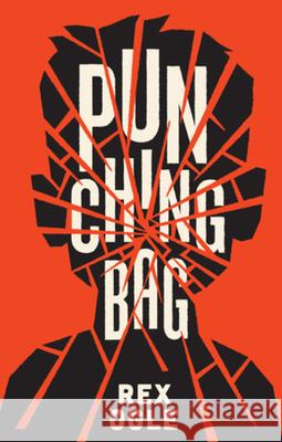 Punching Bag Rex Ogle 9781324016236 Norton Young Readers
