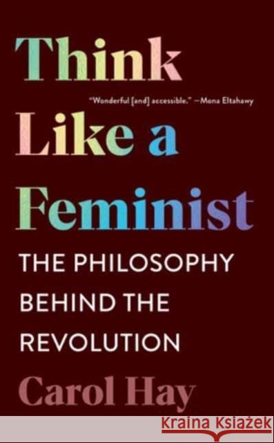 Think Like a Feminist: The Philosophy Behind the Revolution Carol Hay 9781324020271 WW Norton & Co