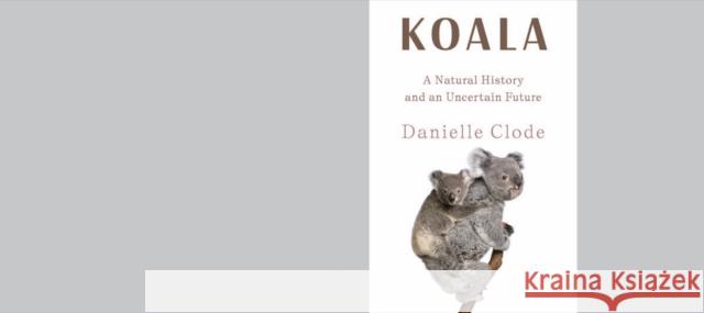 Koala: A Natural History and an Uncertain Future Danielle Clode 9781324036838 WW Norton & Co