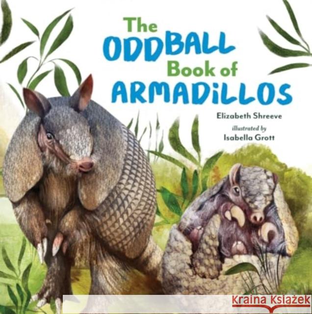 The Oddball Book of Armadillos Elizabeth Shreeve Isabella Grott 9781324052180