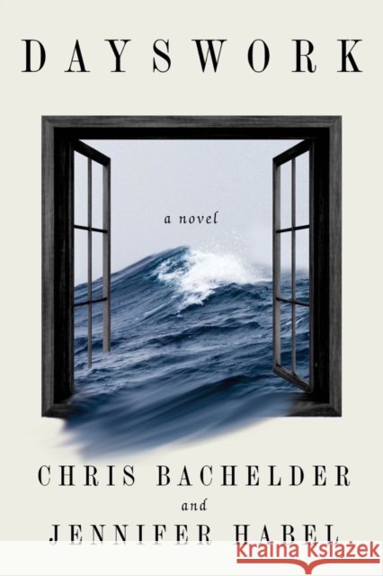 Dayswork - A Novel Jennifer Habel 9781324065401