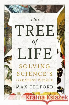 The Tree of Life - Solving Science`s Greatest Puzzle Max Telford 9781324065425 W. W. Norton & Company