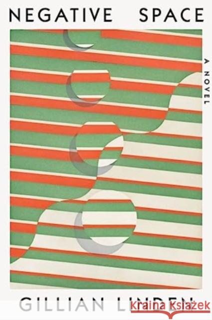 Negative Space - A Novel  9781324065548 