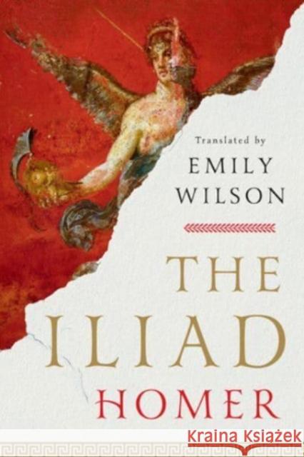 The Iliad Homer 9781324076148