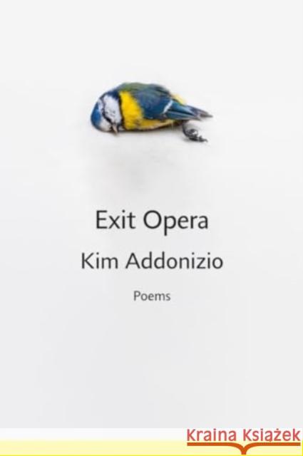 Exit Opera: Poems Kim Addonizio 9781324078937