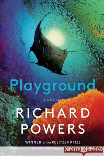 Playground - A Novel  9781324086031 W. W. Norton & Company