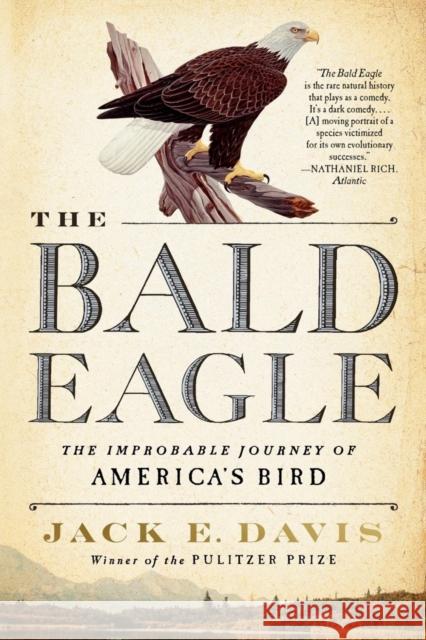 The Bald Eagle: The Improbable Journey of  America\'s Bird Jack E. (University of Florida) Davis 9781324094104