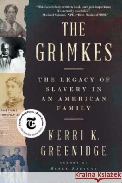 The Grimkes - The Legacy of Slavery in an American Family  9781324094548 