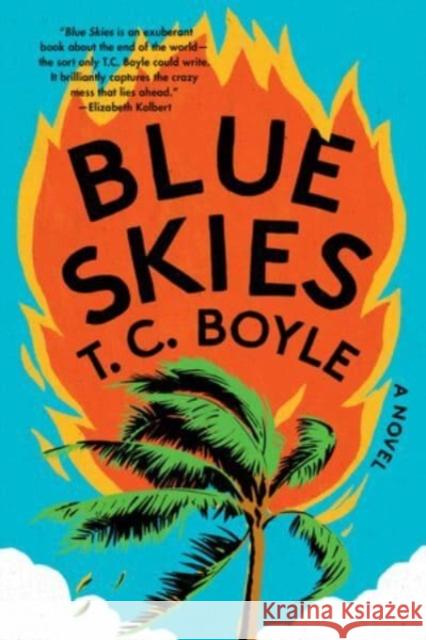 Blue Skies - A Novel  9781324095187 