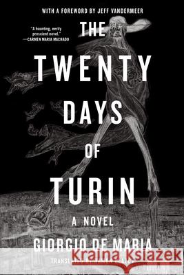 The Twenty Days of Turin: A Novel Giorgio De Maria 9781324095514 Liveright Publishing Corporation