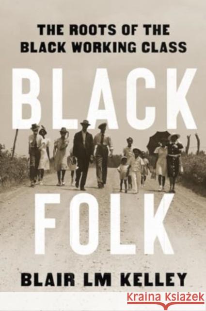 Black Folk - The Roots of the Black Working Class  9781324095576 Liveright Publishing Corporation