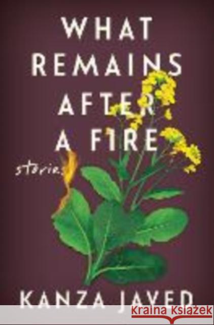 What Remains After a Fire: Stories Kanza Javed 9781324111092