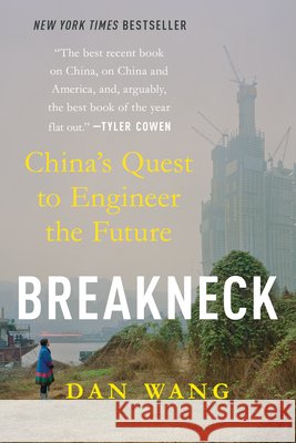 Breakneck: China's Quest to Engineer the Future Wang, Dan 9781324156956 W. W. Norton & Company