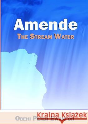 AMENDE - The Stream Water Ewanfoh, Obehi Peter 9781326139209 Lulu.com