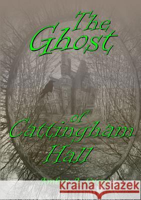 The Ghost of Cattingham Hall Amber A 9781326545857 Lulu.com