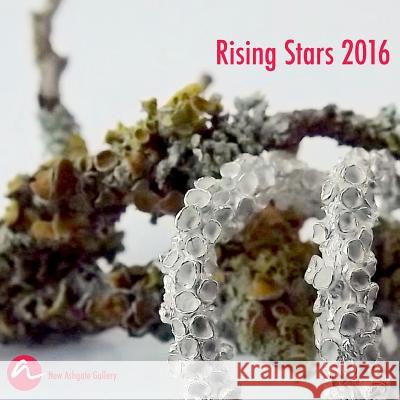 Rising Stars 2016 New Ashgate Gallery 9781326562830