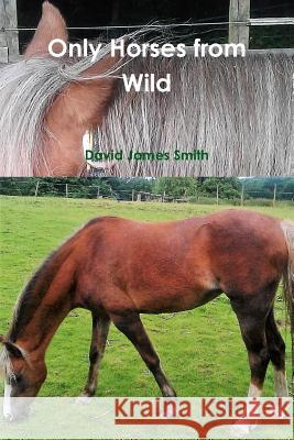 Only Horses from Wild David James Smith 9781326732462 Lulu.com