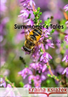 Summoner's Tales David Tallach 9781326794200 Lulu.com