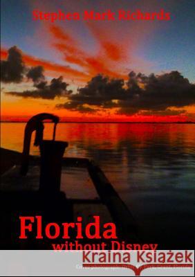 Florida without Disney Richards, Stephen Mark 9781326937522