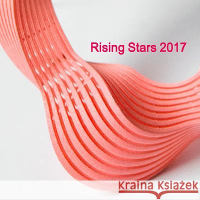 Rising Stars 2017 New Ashgate Gallery 9781326946470