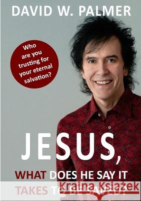 Jesus, What Does He Say it Takes to be Saved? David W Palmer 9781326985264