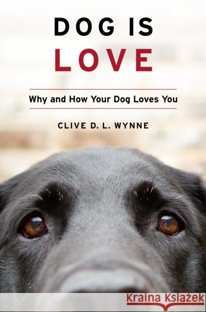 Dog Is Love: Why and How Your Dog Loves You Clive D. L. Wynne 9781328543967 HarperCollins