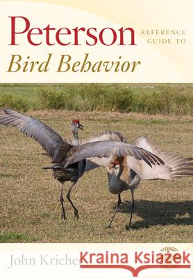 Peterson Reference Guide to Bird Behavior John Kricher 9781328787361 Houghton Mifflin