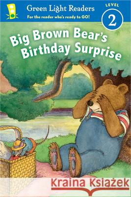 Big Brown Bear's Birthday Surprise David McPhail 9781328895783 