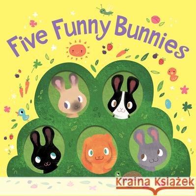 Five Funny Bunnies Board Book Clarion Books 9781328966032 Houghton Mifflin