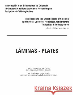 Introduccion a los saltamontes de Colombia (Laminas-Plates) Oscar J Cadena-Castañeda, Juan Manuel Cardona-Granda 9781329393912