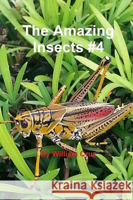The Amazing Insects #4 William Cruz 9781329464704