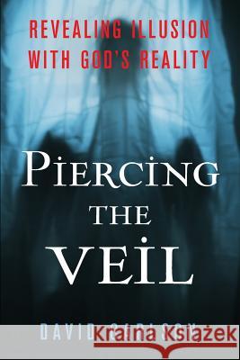 Piercing the Veil David Carlson 9781329854543