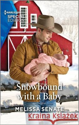 Snowbound with a Baby Melissa Senate 9781335594280 Harlequin Special Edition