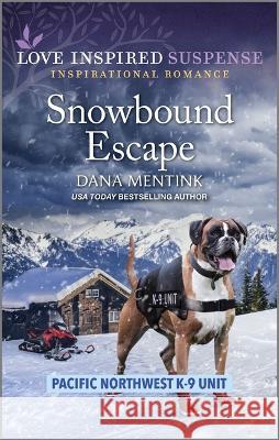 Snowbound Escape Dana Mentink 9781335597687
