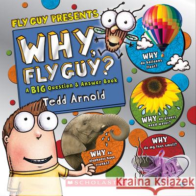 Why, Fly Guy?: Answers to Kids' Big Questions (Fly Guy Presents) Tedd Arnold 9781338053180 Scholastic Inc.