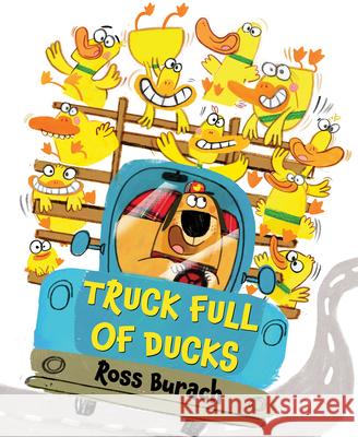 Truck Full of Ducks Ross Burach 9781338129366 Scholastic Press