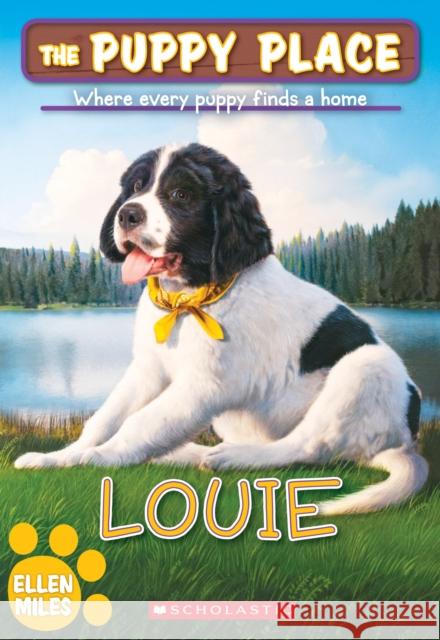 Louie (The Puppy Place #51) Ellen Miles 9781338212679 Scholastic Inc.