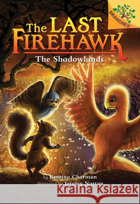 The Shadowlands: A Branches Book (the Last Firehawk #5): Volume 5 Charman, Katrina 9781338307122