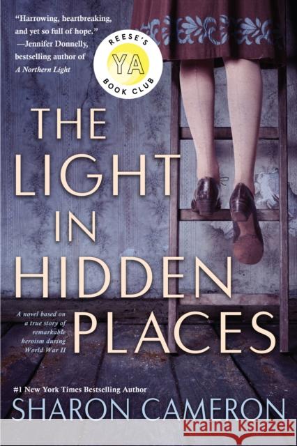 The Light in Hidden Places Sharon Cameron 9781338355949 Scholastic US