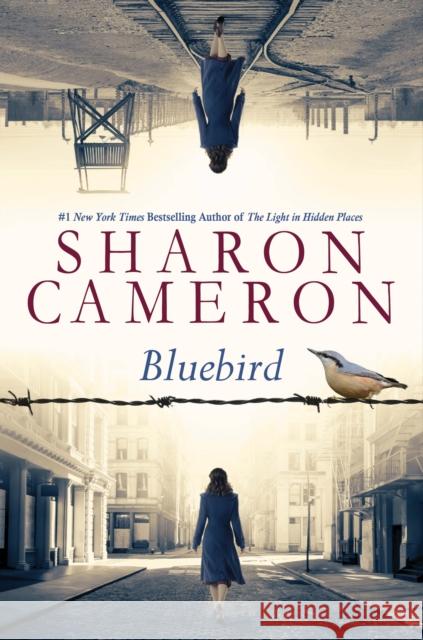 Bluebird Sharon Cameron 9781338355963 Scholastic Press