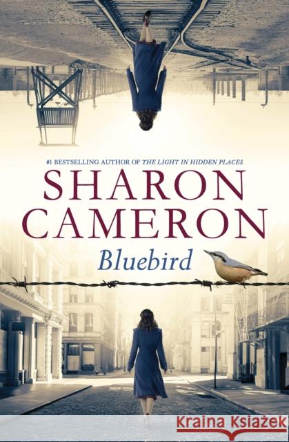 Bluebird Sharon Cameron 9781338355970 Scholastic Inc.