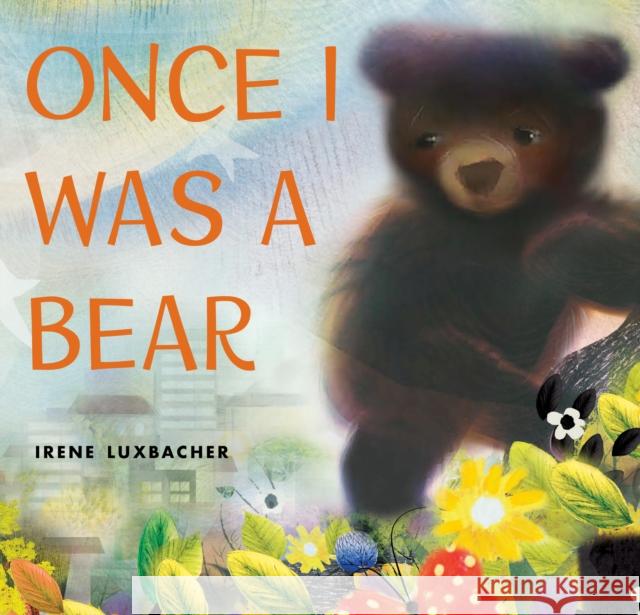 Once I Was a Bear Irene Luxbacher 9781338356335 Scholastic Inc.