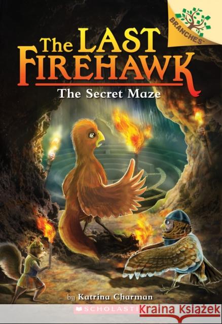 The Secret Maze: A Branches Book (The Last Firehawk #10) Katrina Charman 9781338565379 Scholastic Inc.