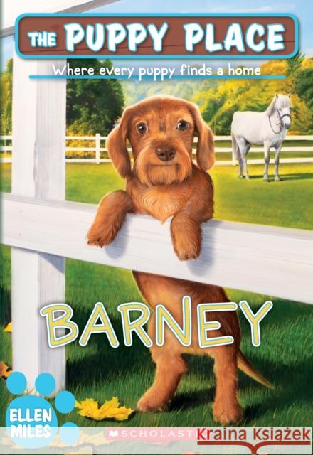 Barney (The Puppy Place #57)  9781338572186 Scholastic Press