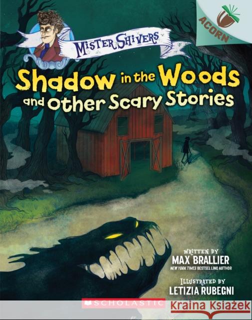 Shadow in the Woods and Other Scary Stories: An Acorn Book (Mister Shivers #2): Volume 2 Brallier, Max 9781338615418