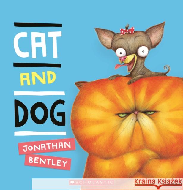 Cat and Dog Jonathan Bentley 9781338684704 Scholastic Inc.