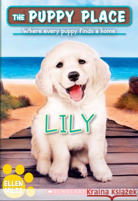 Lily (The Puppy Place #61) Ellen Miles 9781338686982 Scholastic Inc.