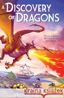 A Discovery of Dragons Lindsay Galvin 9781338714449