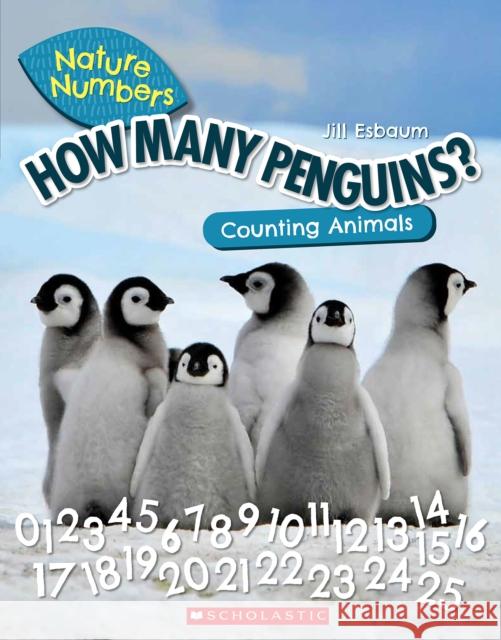 How Many Penguins? (Nature Numbers): Counting Animals 0-100 Jill Esbaum 9781338765199 Scholastic Inc.